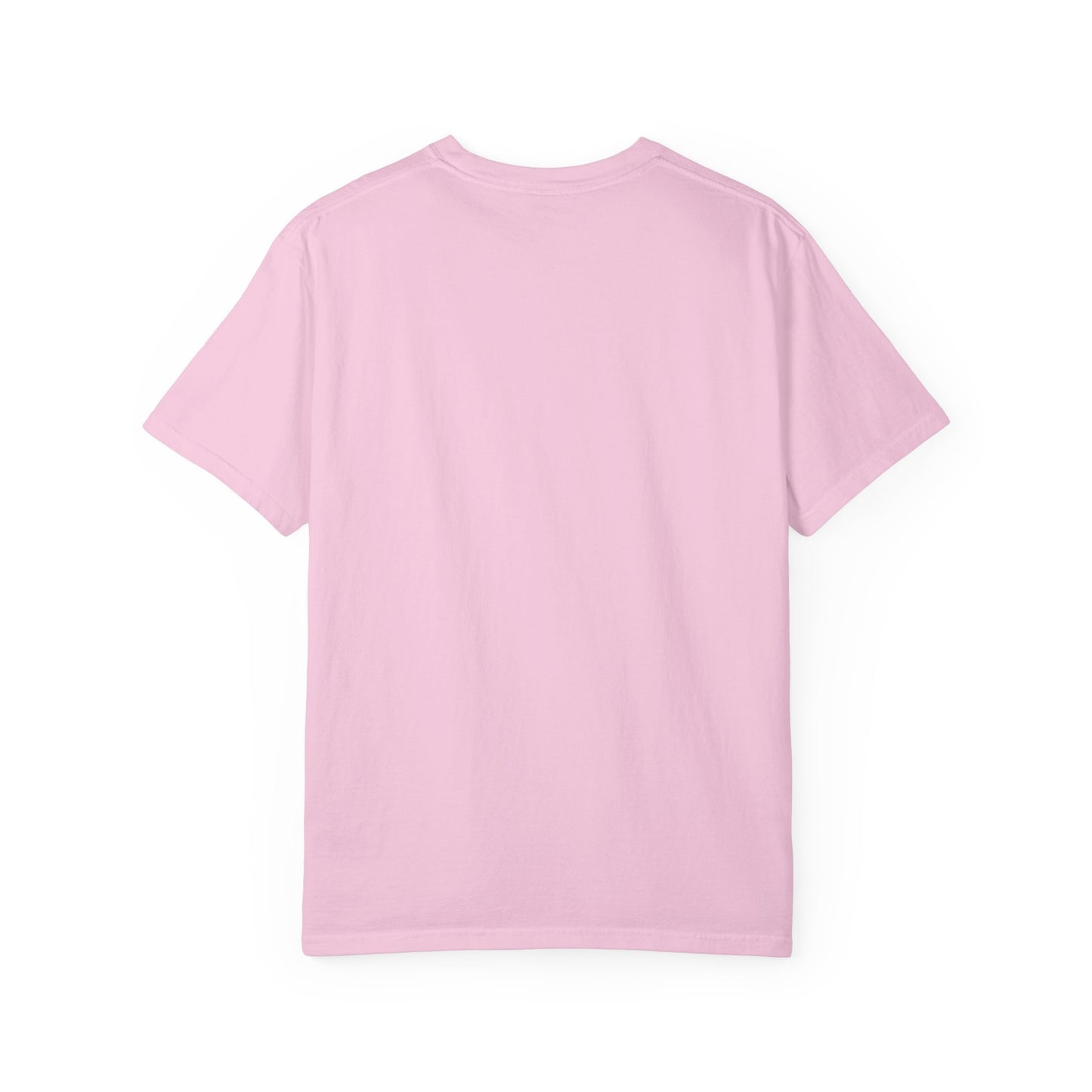 American LGBTQ Pride T-Shirt